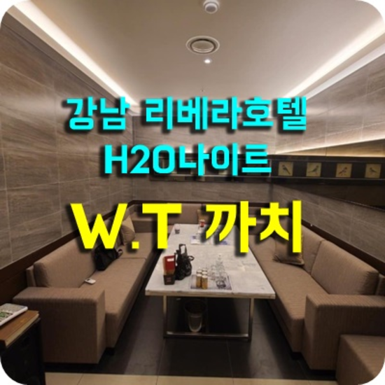 청담에이치투오나이트