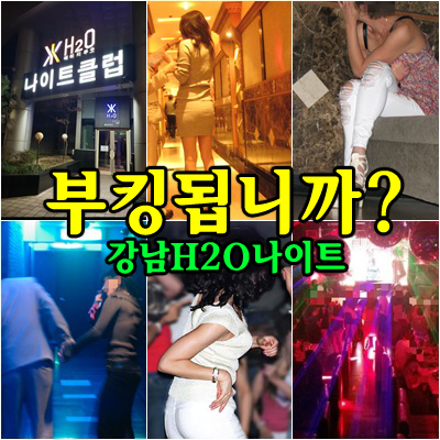 강남H2O나이트 웨이터 ‘까치’를 찾아야 하는 이유 🍾