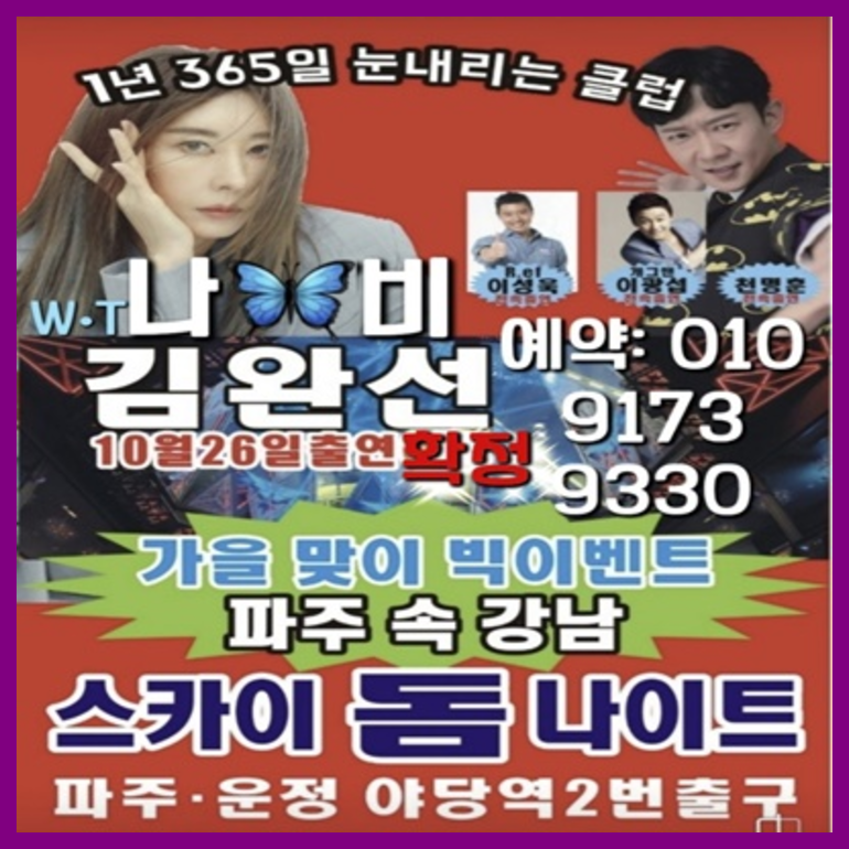 야당스카이돔나이트