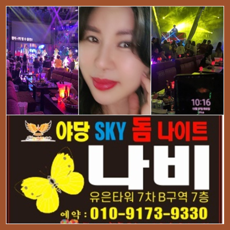 야당스카이돔나이트