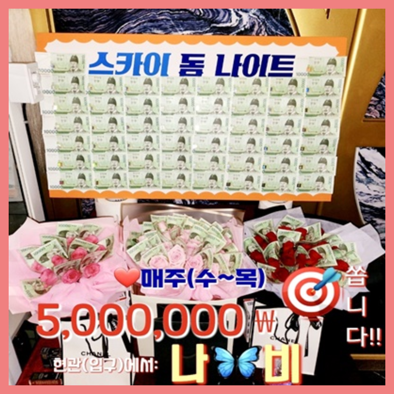 야당스카이돔나이트